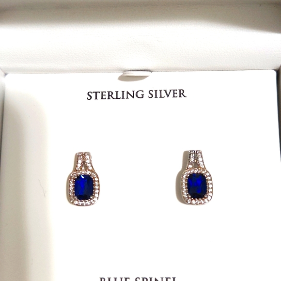 Blue Spinal Sterling Silver Earrings - Picture 4 of 7